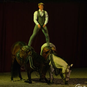 agence artistique shayla - spectacle equestre et voltige equestre