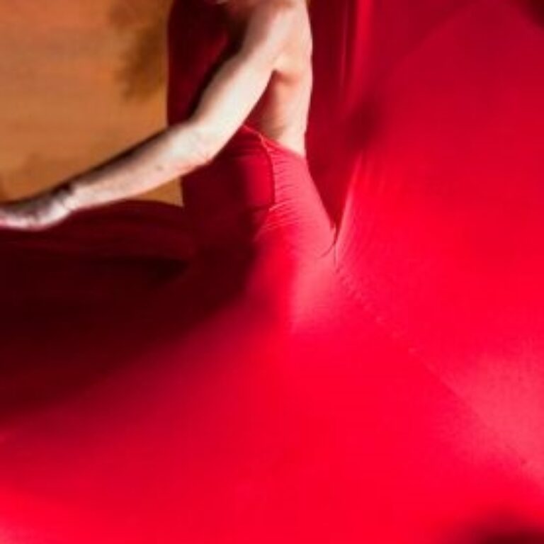 spectacle de flamenco en belgique - agence artistique shayla